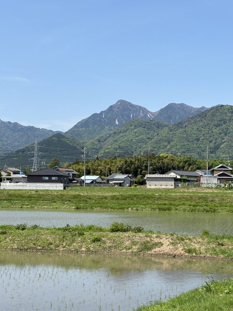 初夏